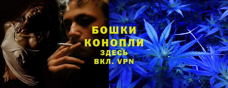 Конопля Bruce Banner  Бакал 